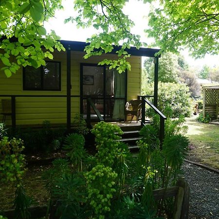 Ivy'S Cottage Грейтаун Екстериор снимка